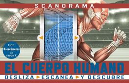 SCANORAMA EL CUERPO HUMANO. BRUÑO