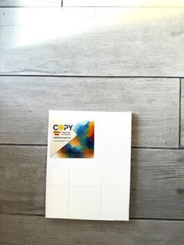 LIENZO 5F TAMAÑO 35x27. COPY.