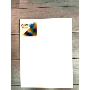 LIENZO 12P TAMAÑO 61X46. COPY.