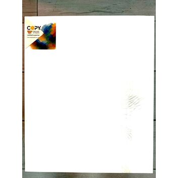 LIENZO TAMAÑO 20F 73X60CM. COPY.